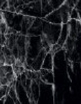 GLOSSY Marmo Rotondo KAR04565MN